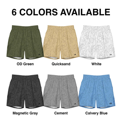 Topo Swim Trunks